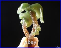 2.8 Indian Agate Hand Carved Crystal Plant Sculpture, Crystal Healing