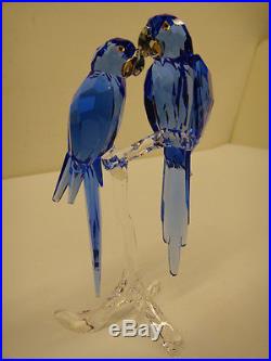 2 Swarovski Crystal 02360 Hyacinth Macaws Parrot Bird Figure A 7644 Nr 000 004