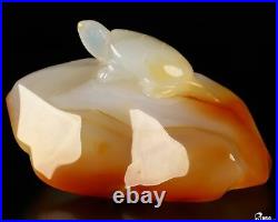 3.1 Carnelian Hand Carved Crystal Turtle Sculpture, Crystal Healing