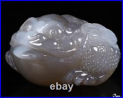 3.3 Agate Carved Crystal Toad, Realistic, Crystal Healing