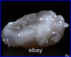 3.3 Agate Carved Crystal Toad, Realistic, Crystal Healing