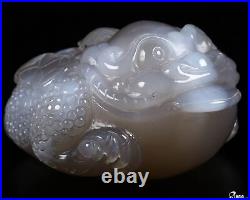 3.3 Agate Carved Crystal Toad, Realistic, Crystal Healing