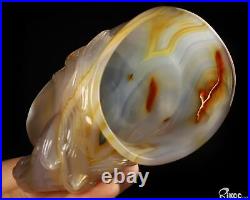 3.5 Premium Brazilian Agate Hand Carved Crystal Cup with Horse, Crystal Healing 3.5 Premium Brazilian Agate Hand Carved Crystal Cup with Horse, Crystal Healing