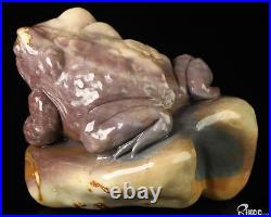 3.7 Polychrome Jasper Hand Carved Crystal Frog Sculpture, Crystal Healing