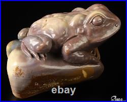 3.7 Polychrome Jasper Hand Carved Crystal Frog Sculpture, Crystal Healing