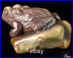 3.7 Polychrome Jasper Hand Carved Crystal Frog Sculpture, Crystal Healing