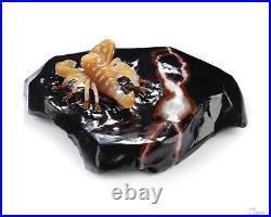 3.9 Indian Agate Hand Carved Crystal Shrimp Sculpture, Crystal Healing