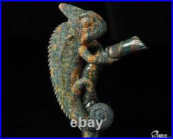 4.0 Bloodstone Hand Carved Crystal Lizard Sculpture, Crystal Healing