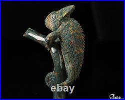 4.0 Bloodstone Hand Carved Crystal Lizard Sculpture, Crystal Healing