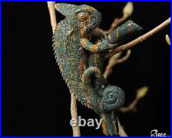 4.0 Bloodstone Hand Carved Crystal Lizard Sculpture, Crystal Healing