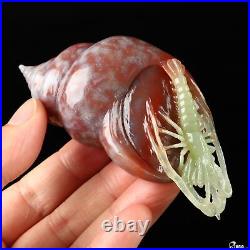 4.1 Indian Agate Hand Carved Crystal Shrimp Sculpture, Crystal Healing