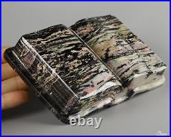 5.2 Pink & Black Rhodonite Carved Gem Book Crystal Book, Realistic, Healing