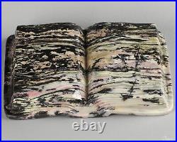 5.2 Pink & Black Rhodonite Carved Gem Book Crystal Book, Realistic, Healing