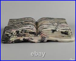 5.2 Pink & Black Rhodonite Carved Gem Book Crystal Book, Realistic, Healing