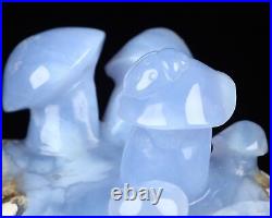 5.4 Blue Chalcedony Hand Carved Crystal Mushroom Sculpture, Crystal Healing