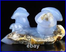 5.4 Blue Chalcedony Hand Carved Crystal Mushroom Sculpture, Crystal Healing