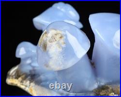 5.4 Blue Chalcedony Hand Carved Crystal Mushroom Sculpture, Crystal Healing