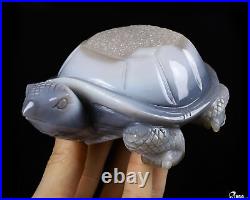 5.5 Agate Geode Carved Turtle Crystal Tortoise, Crystal Healing