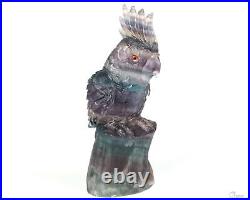 5.5 Fluorite Hand Carved Crystal Parrot Sculpture, Crystal Healing