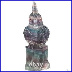 5.5 Fluorite Hand Carved Crystal Parrot Sculpture, Crystal Healing