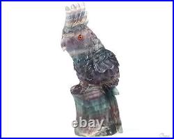 5.5 Fluorite Hand Carved Crystal Parrot Sculpture, Crystal Healing