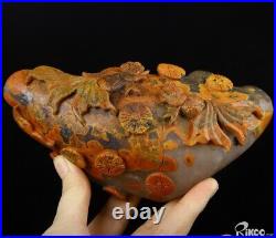 6.1 Empire Red Agate Hand Carved Crystal Storage Box, Crystal Healing