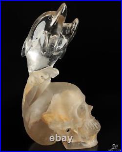 6.1 Quartz Rock Crystal Hand Carved Crystal Skull and Dolphin