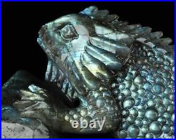 6.7 Labradorite Hand Carved Crystal Lizard Sculpture, Crystal Healing