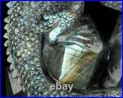 6.7 Labradorite Hand Carved Crystal Lizard Sculpture, Crystal Healing