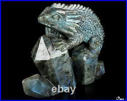 6.7 Labradorite Hand Carved Crystal Lizard Sculpture, Crystal Healing