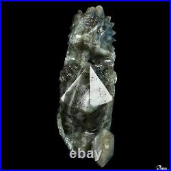 6.7 Labradorite Hand Carved Crystal Lizard Sculpture, Crystal Healing