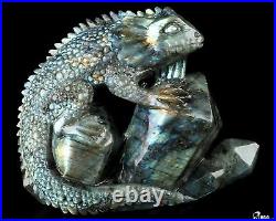 6.7 Labradorite Hand Carved Crystal Lizard Sculpture, Crystal Healing