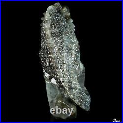 6.7 Labradorite Hand Carved Crystal Lizard Sculpture, Crystal Healing