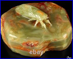 7.3 Afghanistan Jade Hand Carved Crystal Cicada Sculpture, Crystal Healing