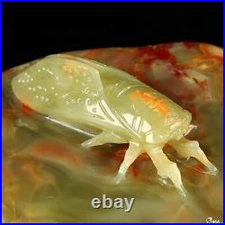 7.3 Afghanistan Jade Hand Carved Crystal Cicada Sculpture, Crystal Healing