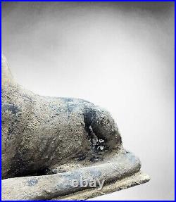 Ancient Egyptian God Anubis, God of Afterlife, Ancient Egyptian Jackal God Anubi