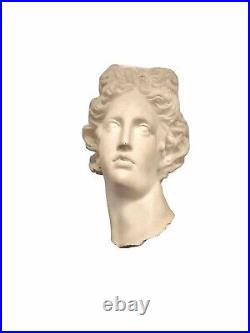 Apollo Bust Roman Goddess Sculpture Plaster Lady Head Vintage Classic Decor