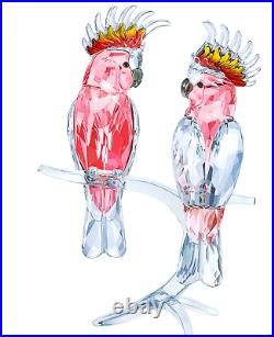 Authentic New in Box $869 Swarovski Pink Cockatoos Bird Pair #5244651