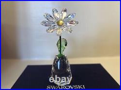 Authentic New in Box Swarovski Flower Dreams Daisy AB Crystal 5529233 PWP 2020