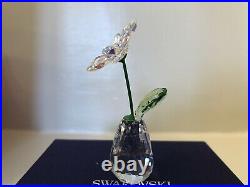 Authentic New in Box Swarovski Flower Dreams Daisy AB Crystal 5529233 PWP 2020