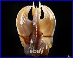 Awesome 5.1 Agate Carved Crystal Dragon Sculpture, Realistic, Crystal Healing