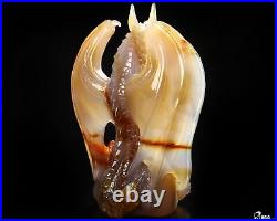 Awesome 5.1 Agate Carved Crystal Dragon Sculpture, Realistic, Crystal Healing