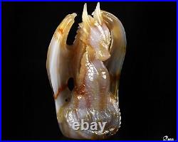 Awesome 5.1 Agate Carved Crystal Dragon Sculpture, Realistic, Crystal Healing