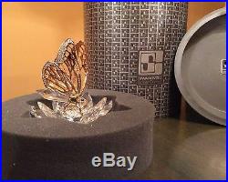 EXTREMELY RARE Swarovski Gold Butterfly 7551NR100 Mint in box