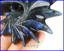 Flash 5.5 Labradorite Carved Crystal Conch, Realistic, Crystal Healing