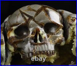 GEODE 6.3 Dragon Septarian Stone Carved Crystal Skull, Crystal Healing