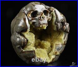 GEODE 6.3 Dragon Septarian Stone Carved Crystal Skull, Crystal Healing