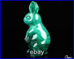 Gemstone 4.1 Malachite Hand Carved Crystal Rabbit Sculpture, Crystal Healing