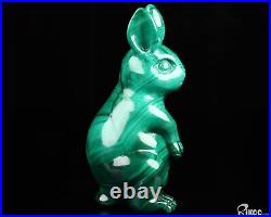 Gemstone 4.1 Malachite Hand Carved Crystal Rabbit Sculpture, Crystal Healing