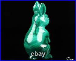 Gemstone 4.1 Malachite Hand Carved Crystal Rabbit Sculpture, Crystal Healing